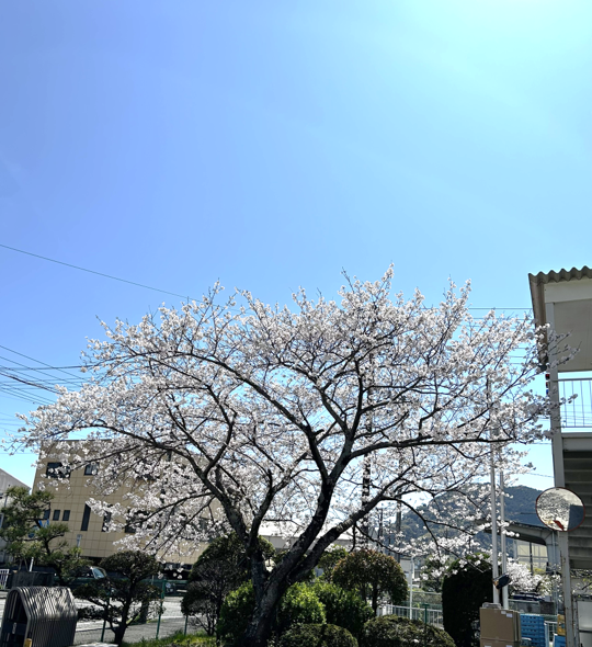 2026年度　新入社員入社式を行いました！